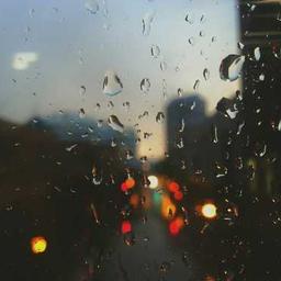 @subhankar_halder983