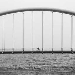 joseaparecidodejesus141