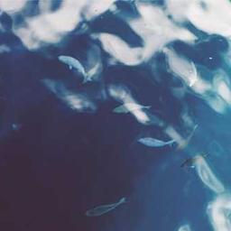 Odupon's Syndicate on Facebook