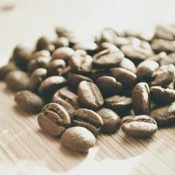 Hans Creative Studio